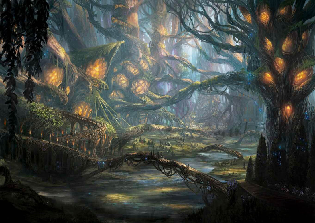 What is The Best Storage for MTG Card? - Ultimate Guide