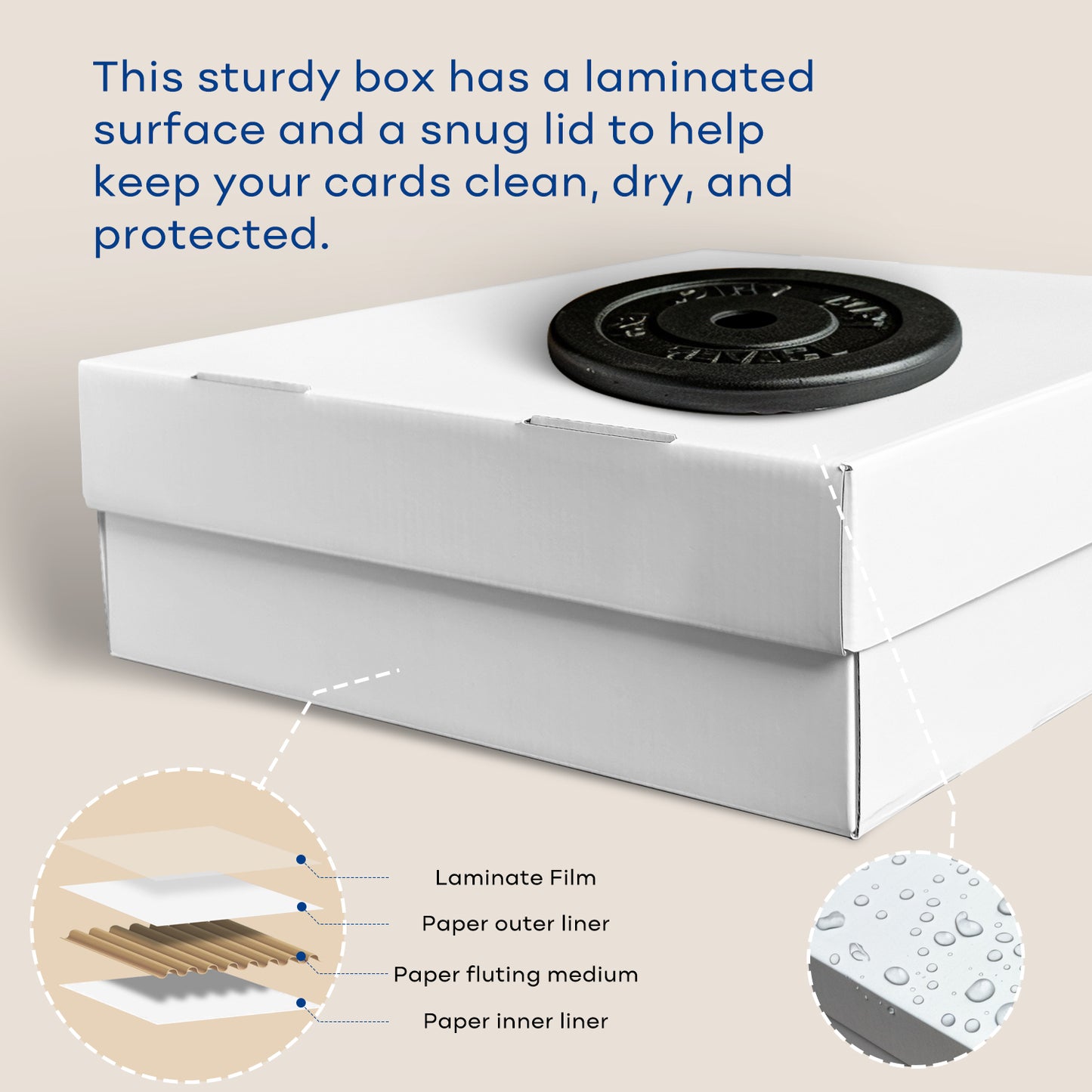 4-Row Trading Card Storage Box